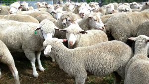 20141219_154434_resized